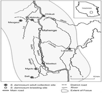 Factors associated with low-uptake of ivermectin in Mahenge, an area with high prevalence of onchocerciasis and epilepsy in Tanzania: A qualitative perspective